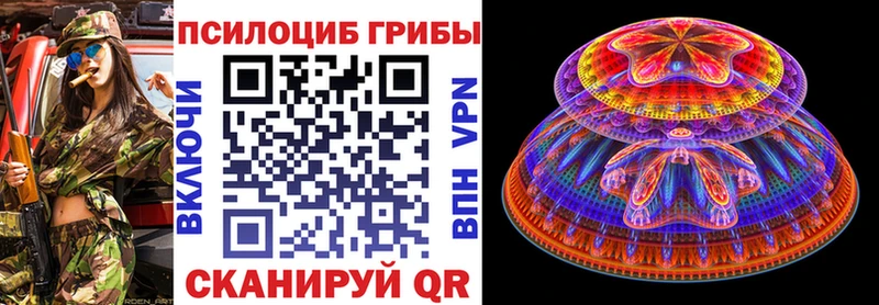 где можно купить   Черкесск  Галлюциногенные грибы Cubensis 