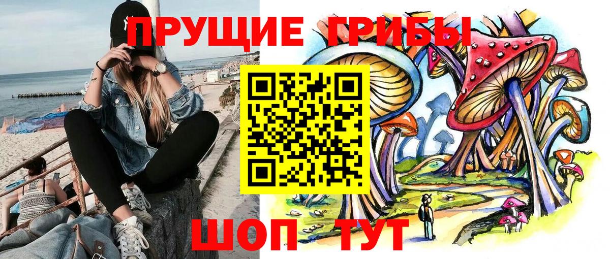 Псилоцибиновые грибы прущие грибы Черкесск