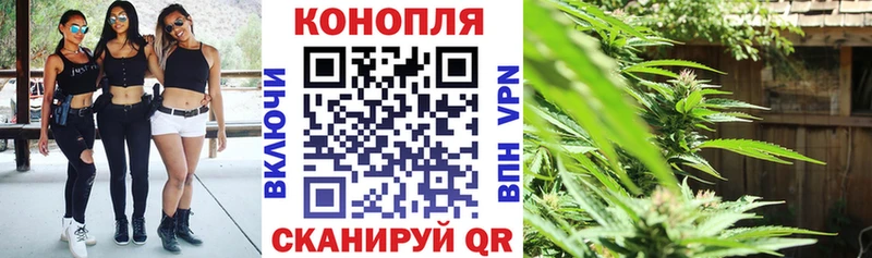 Канабис Amnesia  где купить   Черкесск 